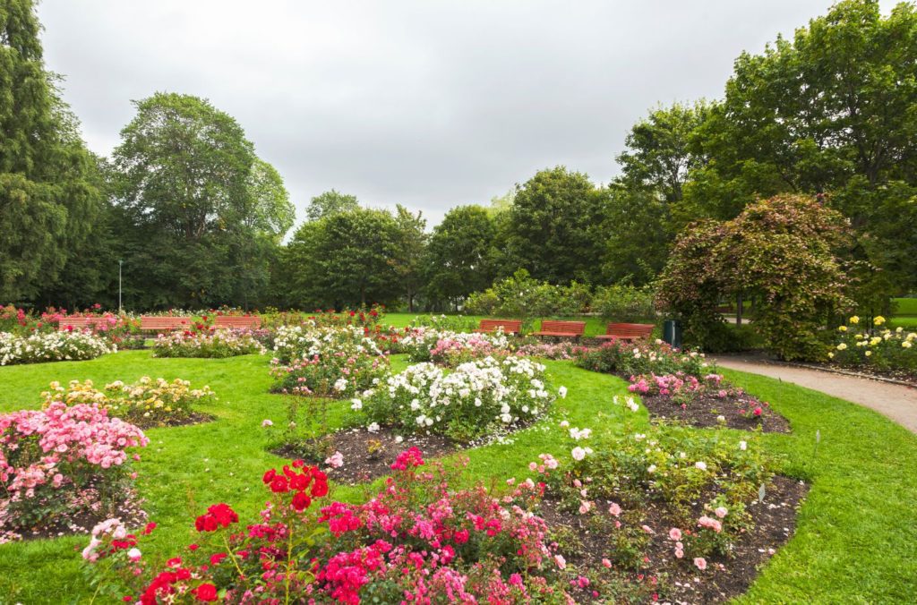 Vigeland Park Rose Garden