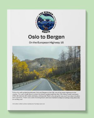 Oslo to Bergen on the E16 Highway
