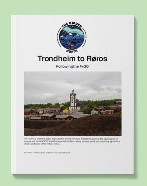 Trondheim to Røros on the Fv30