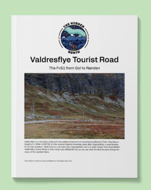 Valdresflye Tourist Road (Fv51)