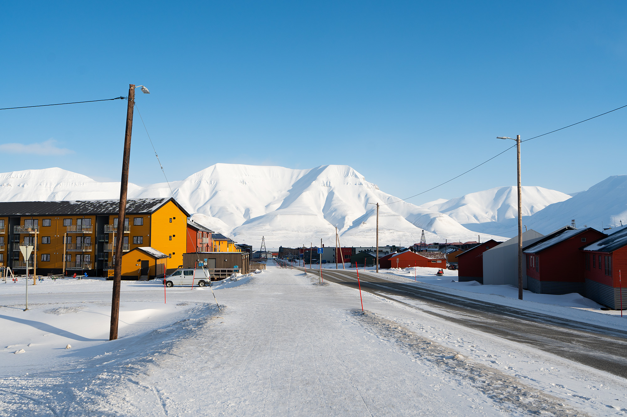 Unique Facts about Life on Svalbard - The Hidden North